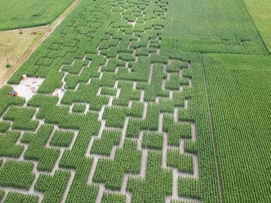 Pop Corn Labyrinthe - Yvelines