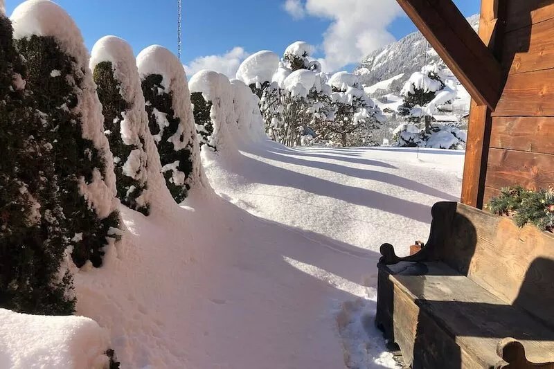 Cocooning luxury chalet at the foot of the slopes