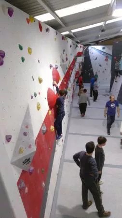 Red Spider Climbing