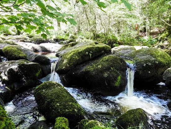 Becky Falls