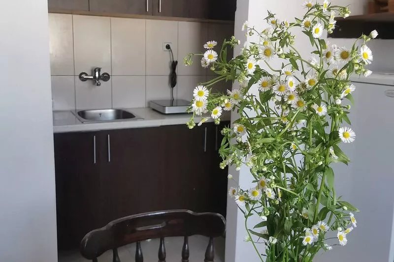 FARIS is a bright centrally located apartment with nice danube and city view