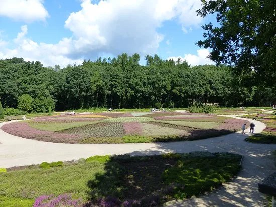 Heidegarten im Hoepen