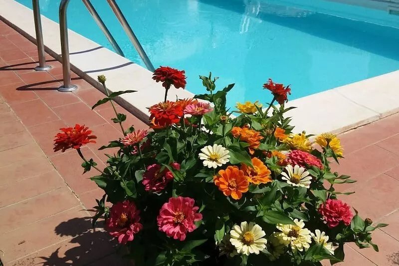 Basse Di Caldana: Villa with pool - Basse di Caldana Tuscany