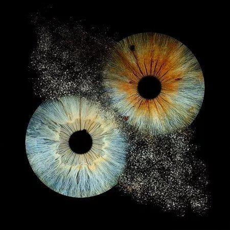 Iris Galerie