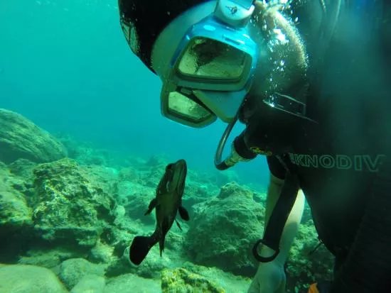 Arian Diving Centre