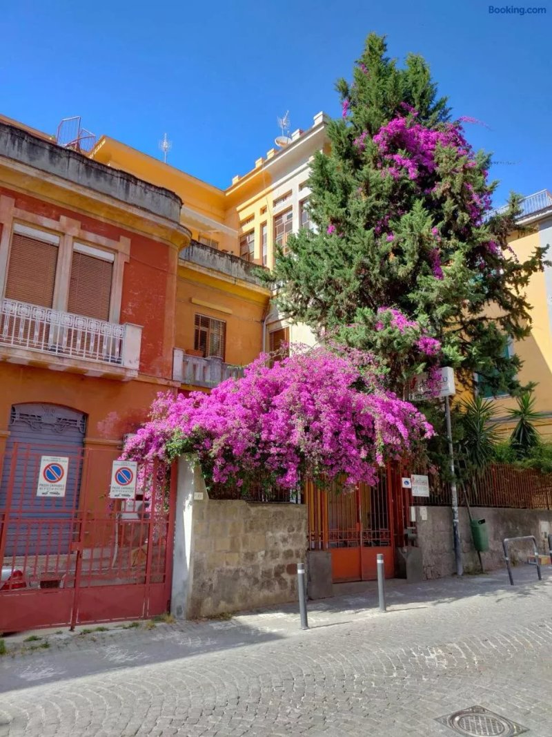 Bed & Breakfast Il Vialetto
