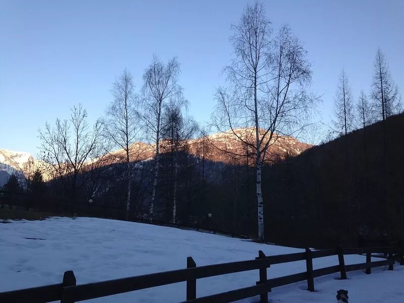 Bardonecchia beautiful house in the green surroundings of the runs at 5 min