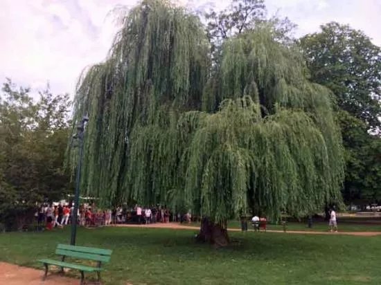 Jardins de l'Europe