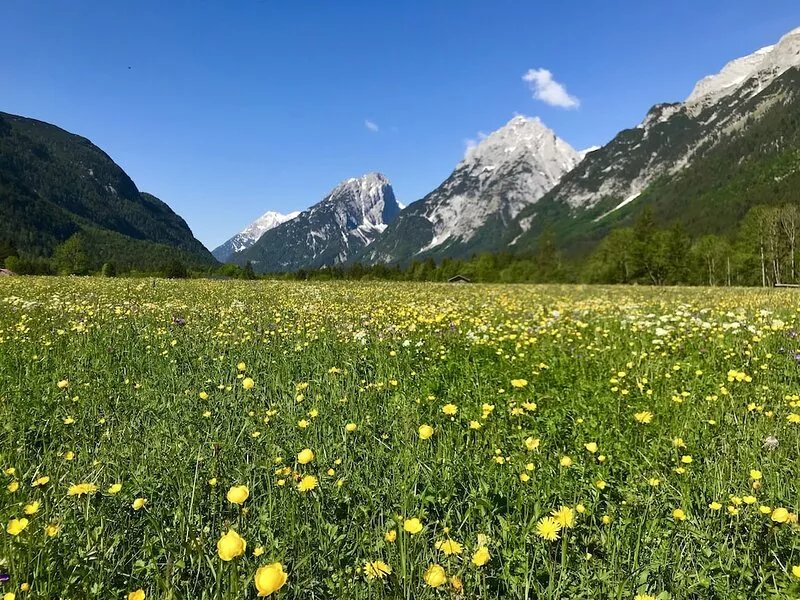 for two Holidays in an organic wooden house - in harmony with nature