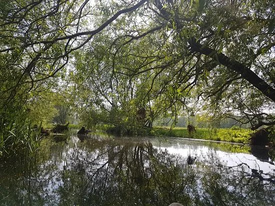 Outney Meadow Camp Site
