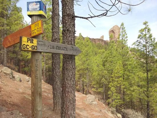 Gran Canaria Viva Excursions - Tours