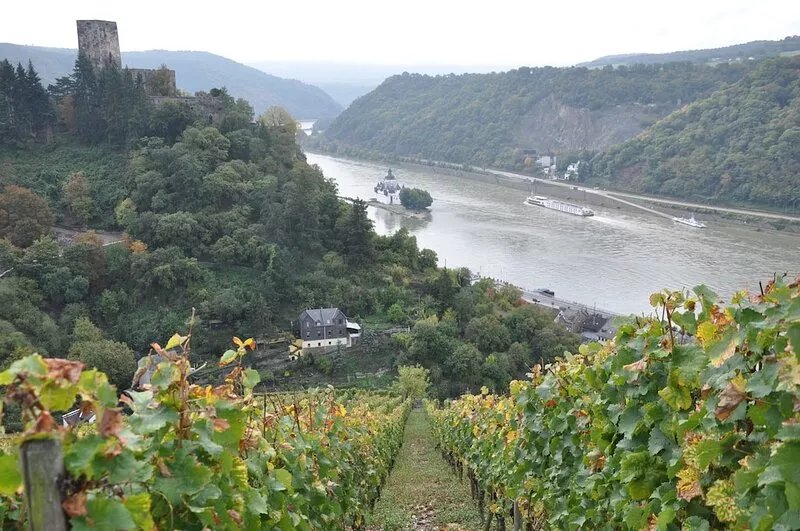 Comfortable apartment in the vineyards with a wonderful view of the Rhine and