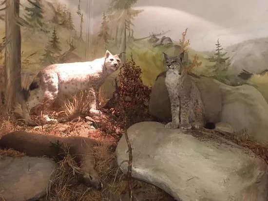 Haus der Natur