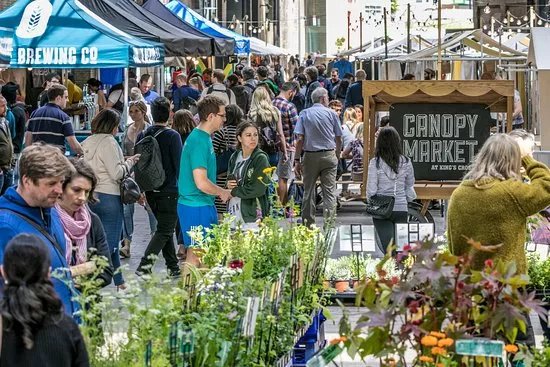 Canopy Market