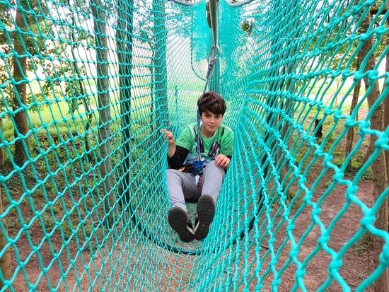 Jumping Forest