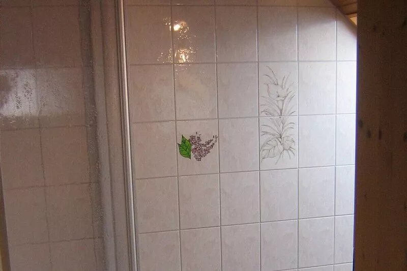 Apartment incl. Königscard, mountain railroads, thermal baths, leisure