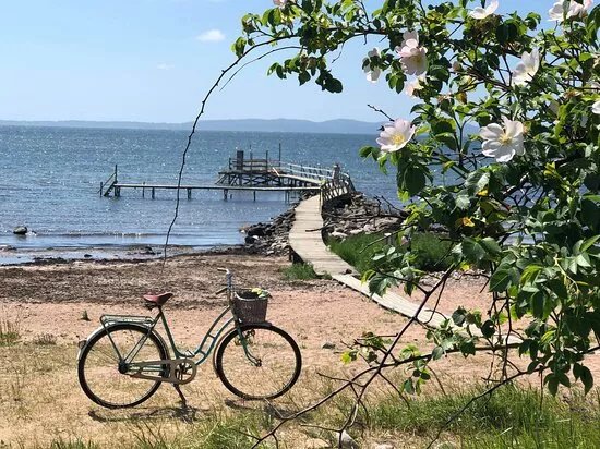 Smaka Pa Vejbystrand