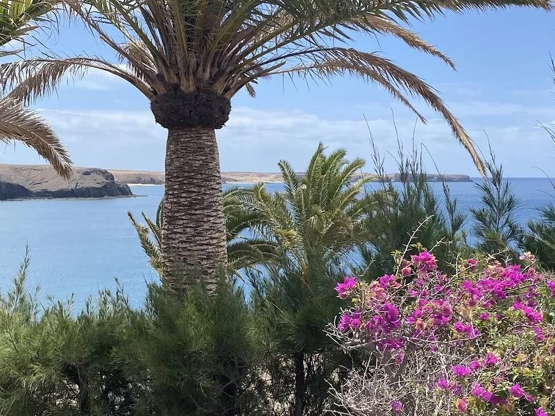 3 Bedroom villa (sleeps 6) with private pool, in gated complex in Playa Blanca