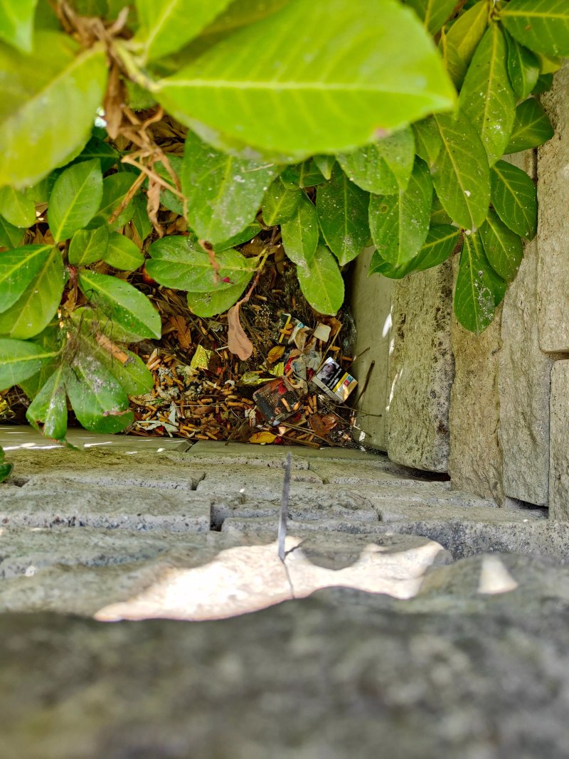 Chinesische Mauer