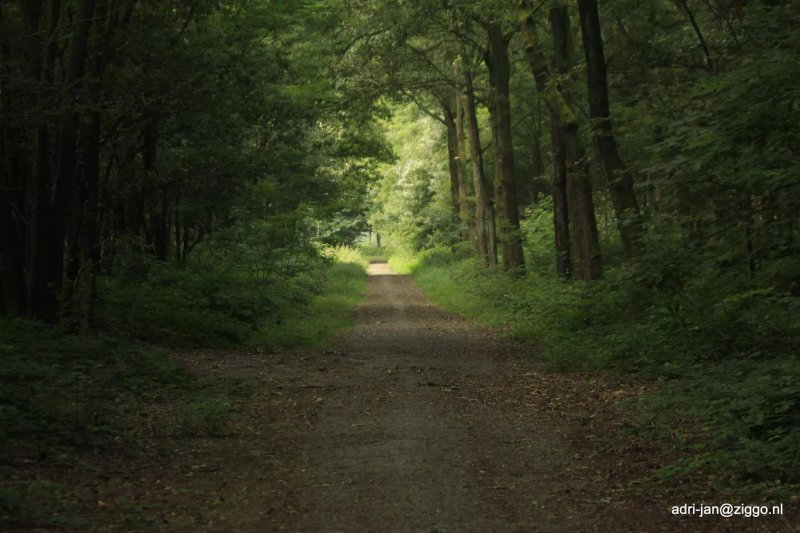 Natuurgebied de Zevenhutten