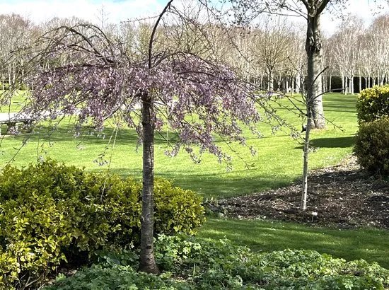 Harwood Park