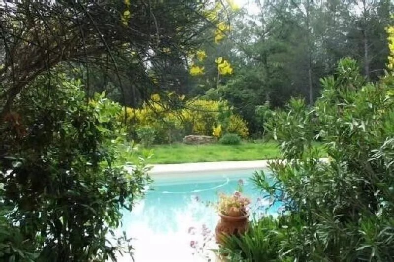 Villa in the quiet of a large pine forest
