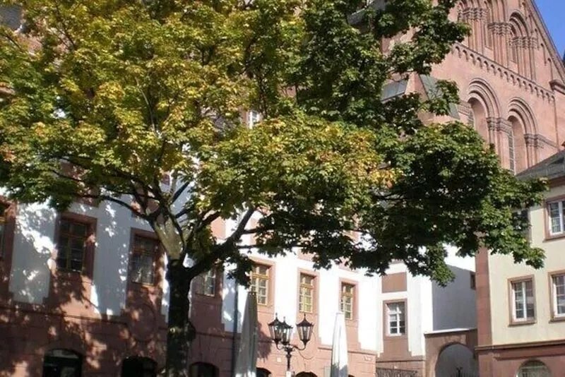 bright apartment in the lively, cultural city of Mainz