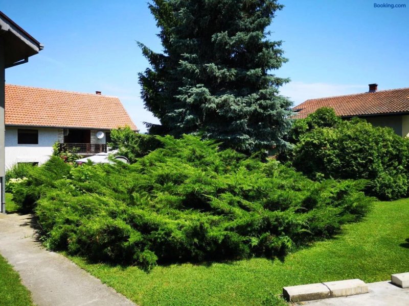 Apartment and Rooms Dedine Golubac