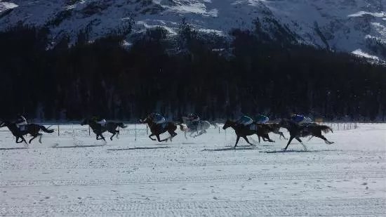 White Turf St. Moritz