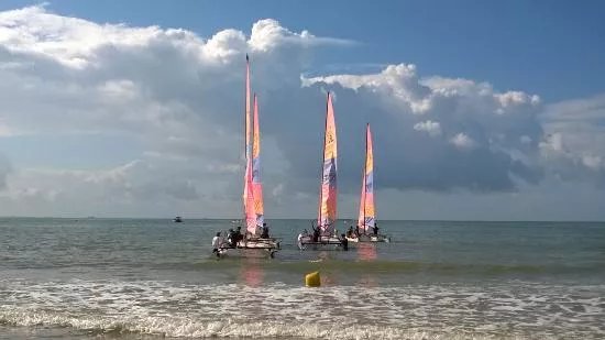 Les Voiles Royales