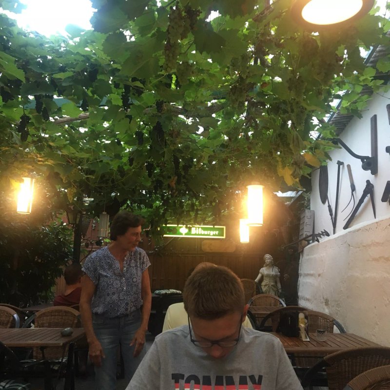 Restaurant - Hotel Traube