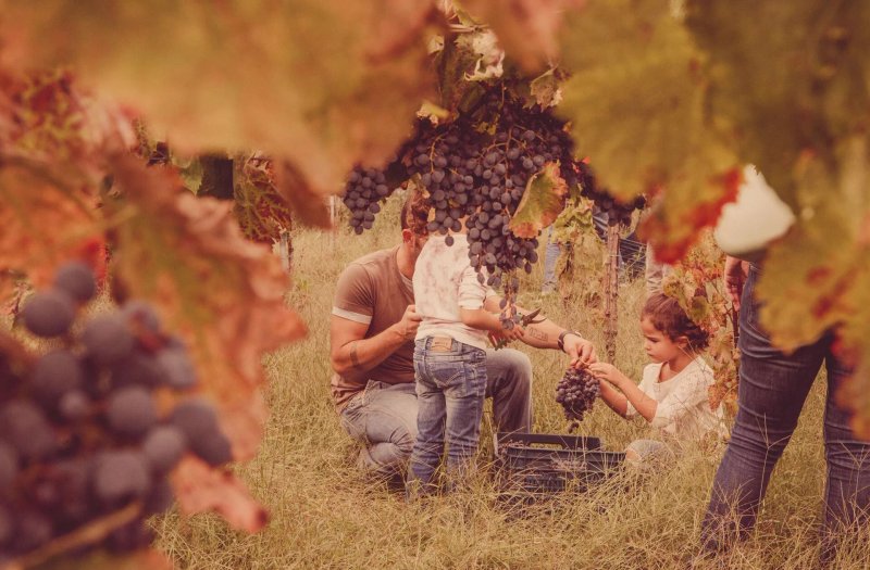 Cantine Rombola