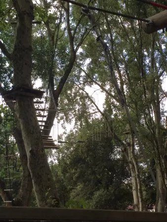 Apua Adventure