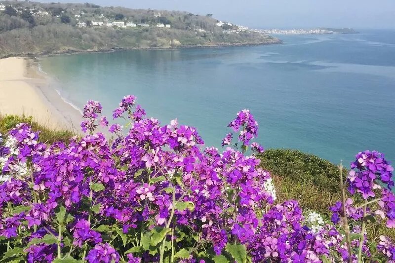 Luxury 2 bed ground floor Apt Carbis Bay - stunning golden beaches