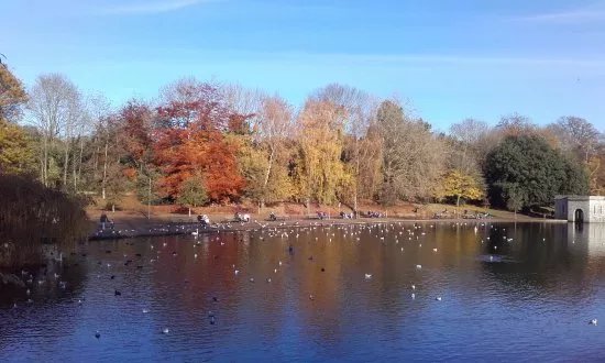 Mote Park