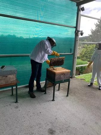 Granja Apipolis