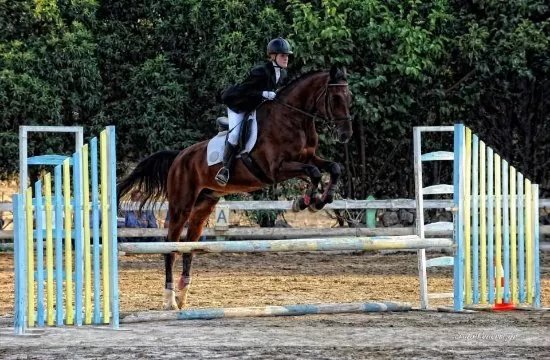 Ippikos Athlitikos Omilos Chanion-Horse Riding Club of Chania