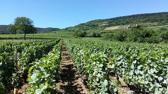 Domaine De La Choupette-Gutrin Fils