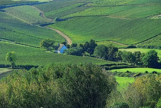 Domaine Philippe Raimbault