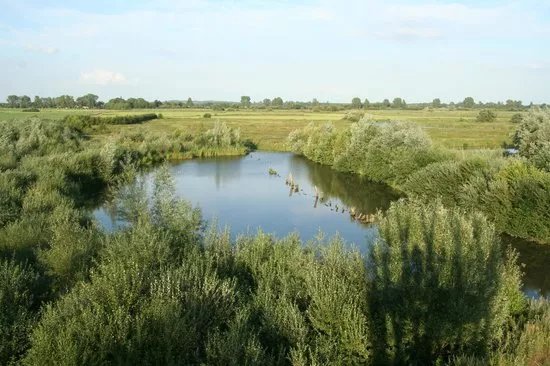 Aussichtsturm Linteler Weiden