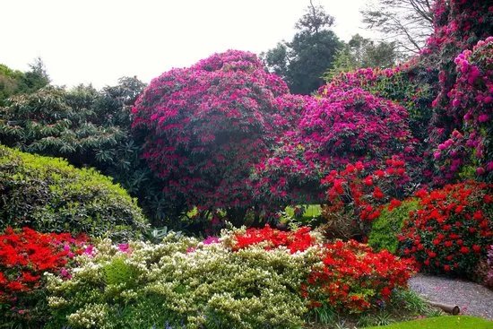 Logan House Gardens