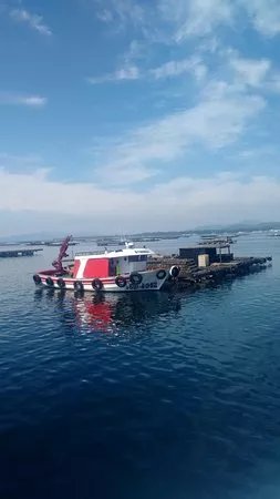 Cruceros de Arosa