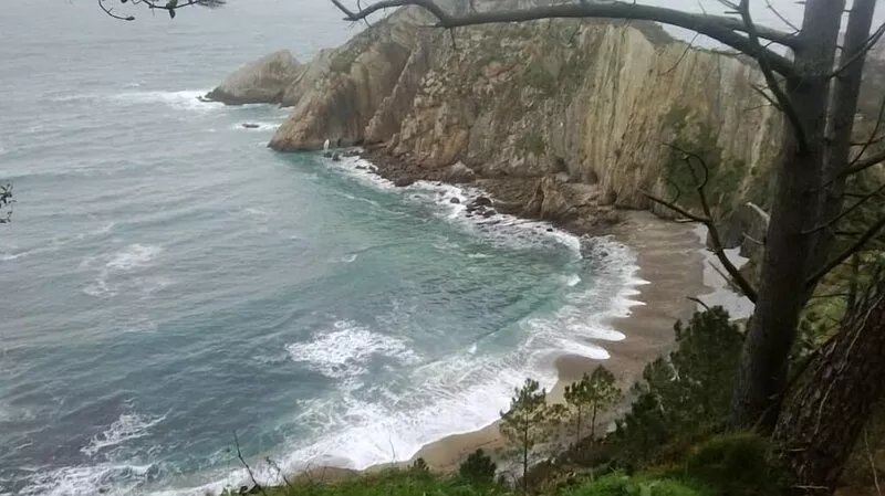 Beautiful views of the green nature from the inside Asturiana