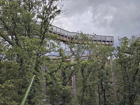 Baumwipfelweg Bad Camberg