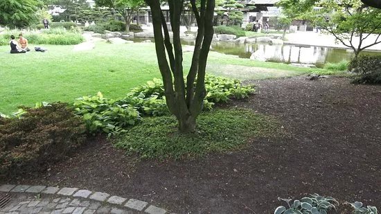 Japanischer Garten