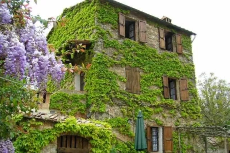 House with private garden and swimming pool for the exclusive use of guests