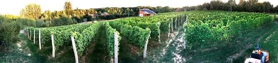 Winnica Granice