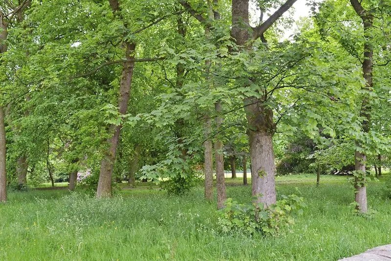 2 bedroom accommodation in Glossop