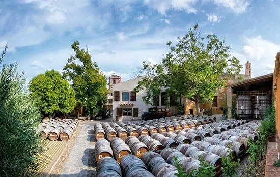 Casa Vermouth Padro