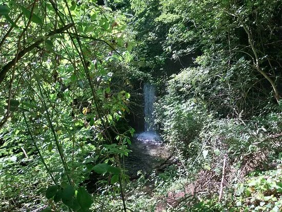 Riserva Naturale Regionale Sorgenti del Fiume Vera